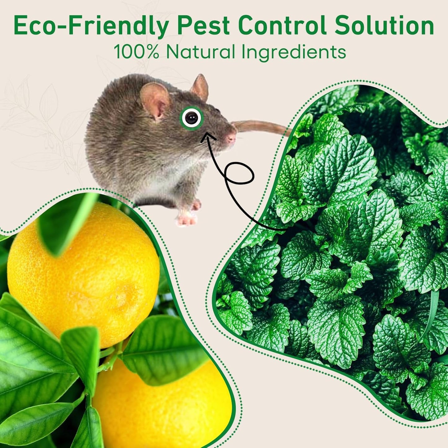 Pest Rodent Repellent, 24 Pack Peppermint Oil for Mice, Mouse, Rats, Spider, Roach, Ant, Bugs, Squirrel, Insect Control Indoor & Outdoor, Natural Deterrent Replace Trap Poisoning Family & Pet Safe