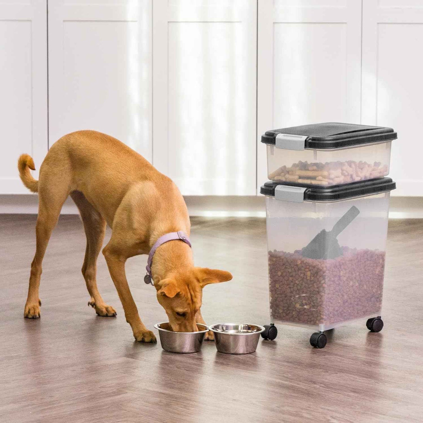 IRIS USA Dog Food Storage Container, 30 lbs & 11 lbs Combo, Cat Food Storage Container, Dog Treat Container, Airtight, Stackable, 2-Cup Scoop, Wheels, Easy Mobility, Black