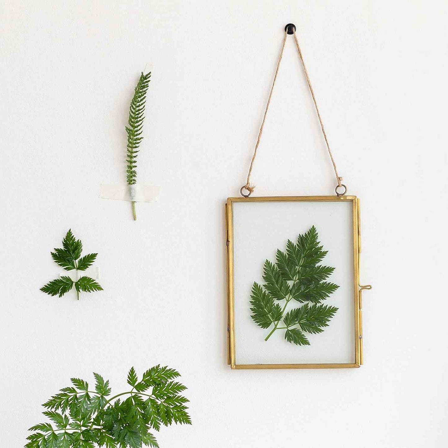 Mr. Pen- Double Headed Picture Hanging Nails, 50 Pack, Black, Push Pins for Wall