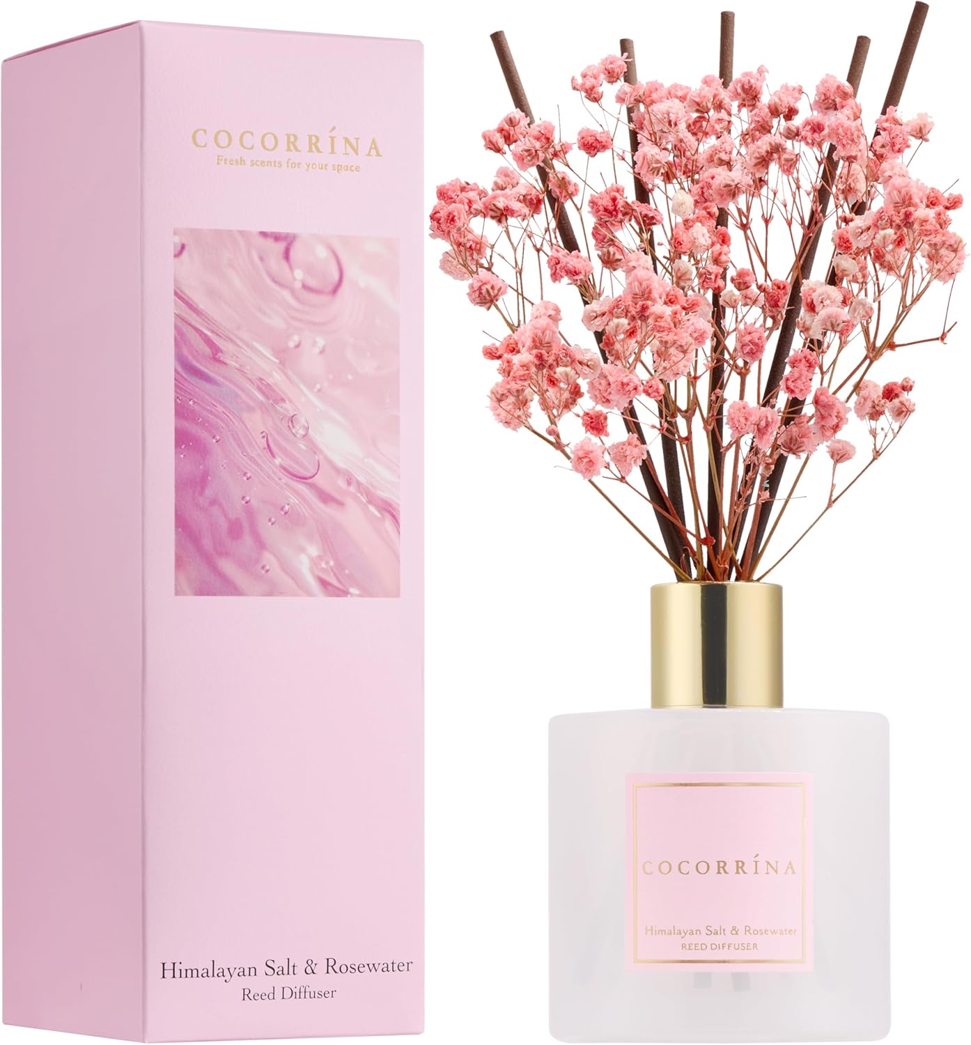 Cocorrína Premium Reed Diffuser Set with Preserved Baby's Breath & Cotton Stick Cashmere Vanilla | 6.7 fl oz Scent Fragrance Oil Diffuser for Bedroom Bathroom Home Décor
