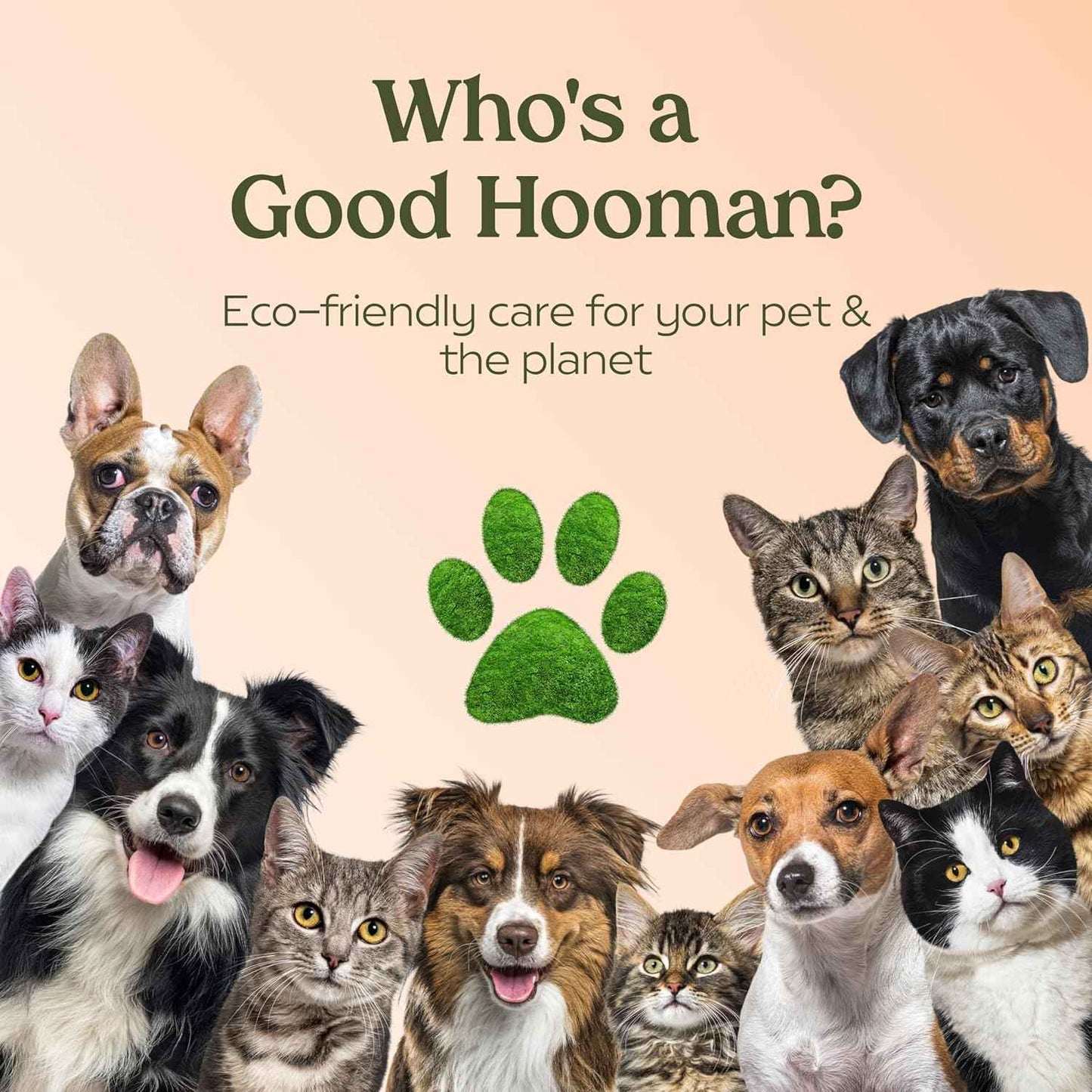 PAWFUME Dog Perfume Spray Long Lasting Scent for Grooming, Show Dog, 1-Pack – Keep Your Pup Fresh All Day – Hypoallergenic, Alcohol-Free, Detangling Formula – Moisturizing Pet Cologne Spray for Dogs