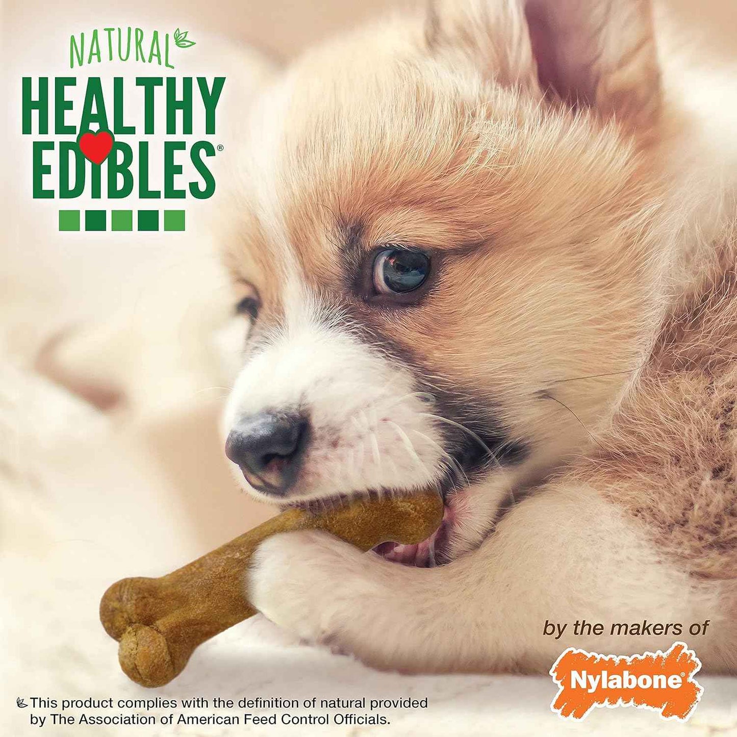 Nylabone Healthy Edibles Natural Puppy Chews Long Lasting Treats for Puppies, Roast Beef, Apple & Bacon Flavor, X-Small/Petite (3 Count)