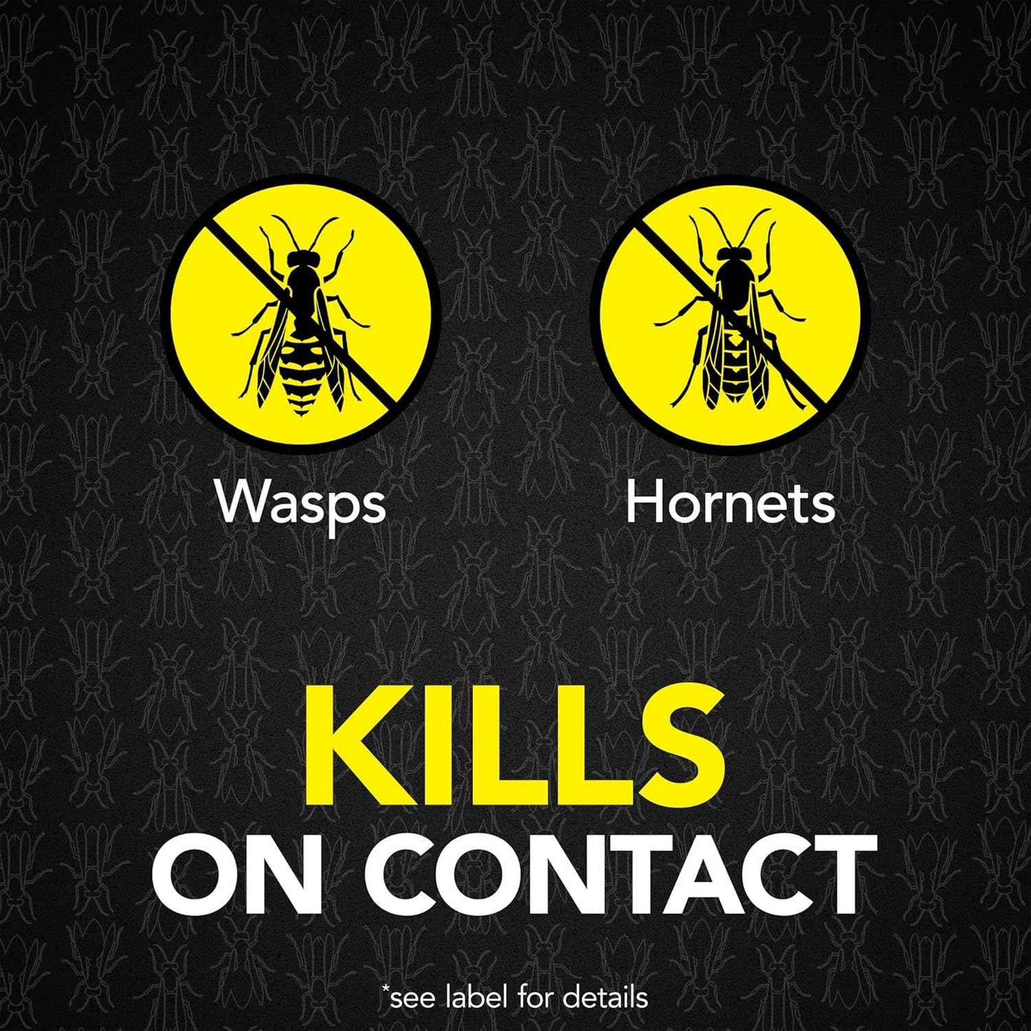 Raid Max Foaming Wasp & Hornet Killer, Fast Coverage Foam, Bug Killer Kills The Entire Nest, 16.5 oz