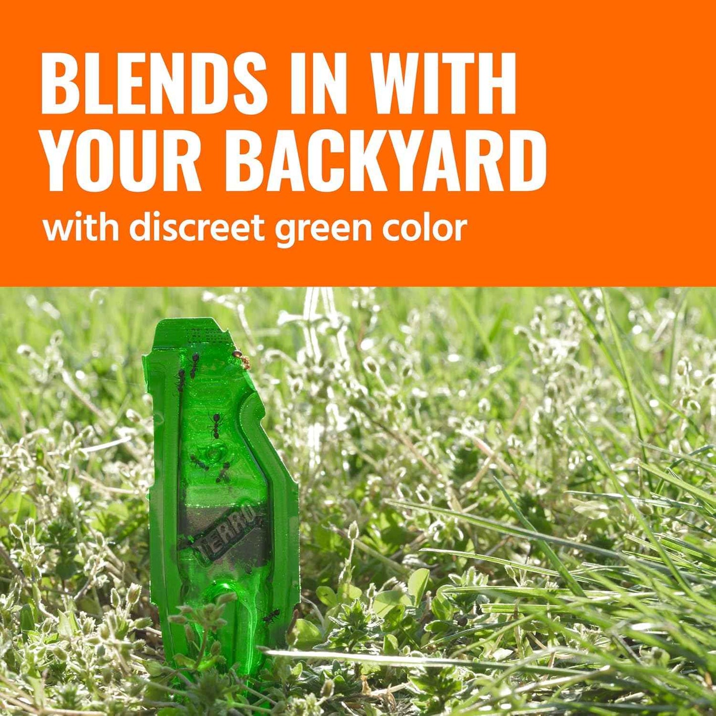 TERRO Liquid Ant Baits - T1813B - Outdoor Ready-to-Use Terro Ant Traps, Kills Household Ants, 12 Stakes