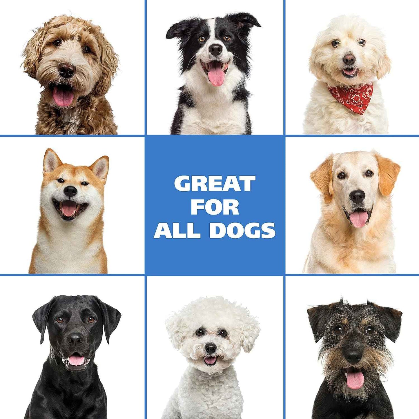 Wahl USA Pet Friendly Waterless No Rinse Shampoo for Animals – Lavender & Chamomile Scented - Cleaning, Conditioning, Detangling, & Moisturizing Shampoo for Dogs – 7.1 Oz - Model 820014A