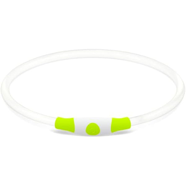 BSEEN USB Rechargeable Flash Dog Necklace Light, Green, Small Medium Large Dogs