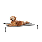 basics grey elevated cooling dog bed for large dogs 51x31x8 inches metal frame