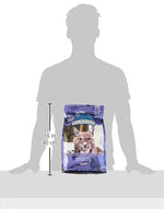 blue buffalo wilderness high-protein grain-free natural dry cat food for adult cats chicken 6-lb bag