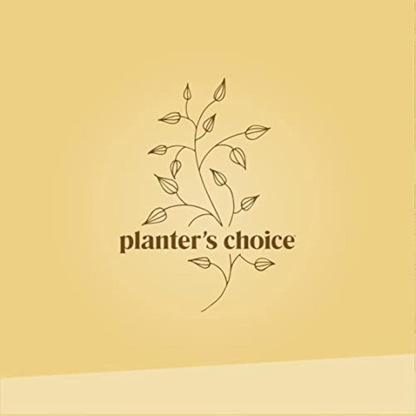 Bonsai Starter Kit - Gardening Easter Gift for Women & Men - Bonsai Tree Growing Garden Crafts Hobby Kits for Adults, Unique DIY Hobbies for Plant Lovers - Unusual Christmas Gifts Ideas