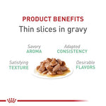 royal-canin-feline-care-digestive-care-3oz-pack-of-24-canned-cat-food-wet-formula