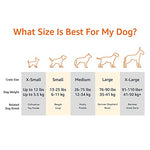 basics grey elevated cooling dog bed for large dogs 51x31x8 inches metal frame