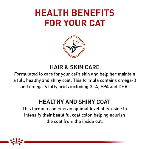 royal-canin-feline-care-nutrition-hair-skin-care-adult-dry-cat-food-3-lb-bag