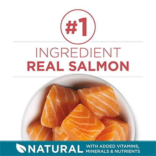 purina one natural dry cat food with real salmon - 16 lb bag for adult cats