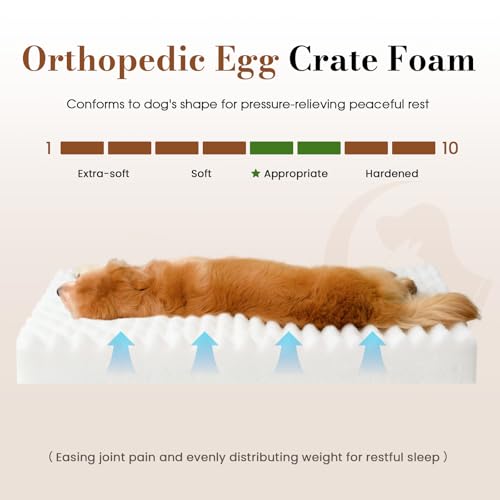 Dog Beds for Large Sized Dog, Orthopedic Pet Bed with Waterproof Lining, Soft Short Plush Surface & Egg Crate Foam, Machine Washable Pet Bed with Removable Cover & Anti Slip Bottom