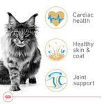 royal-canin-maine-coon-adult-dry-cat-food-6-lb-bag-formulated-for-purebred-maine-coon-cats