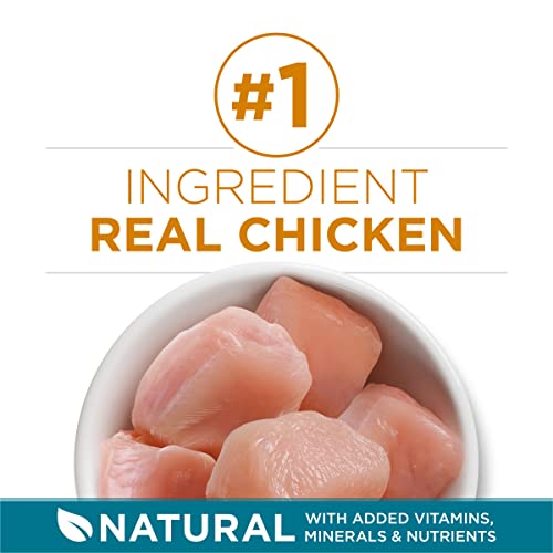 purina one natural dry cat food with real chicken 22 lb bag tender selects blend