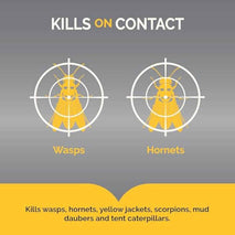 Hot Shot Wasp And Hornet Killer Aerosol, Up to 27-Foot Jet Spray, 14 Ounces, 2 Pack