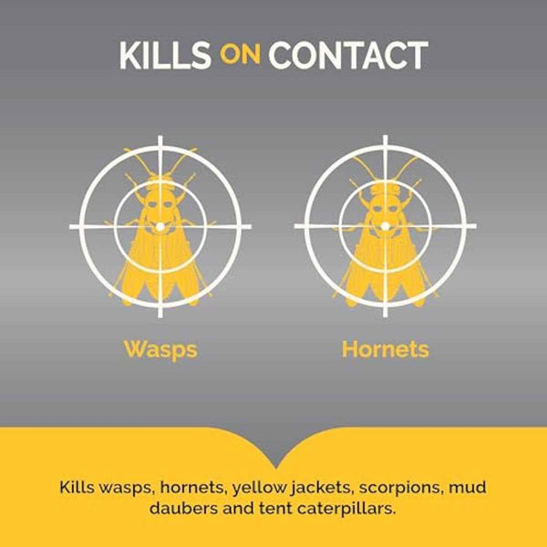 Hot Shot Wasp And Hornet Killer Aerosol, Up to 27-Foot Jet Spray, 14 Ounces, 2 Pack