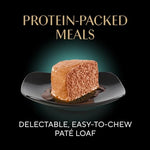 sheba-perfect-portions-sustainable-salmon-tender-whitefish-tuna-entree-cat-food-wet-recipe-variety-pack