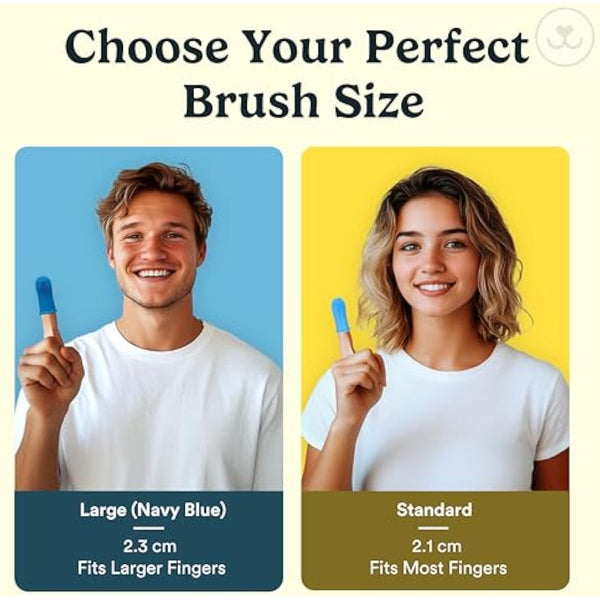Jasper 2-pack 360-degree dog toothbrush kit for small and large pets, blue