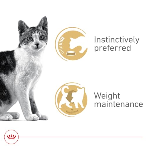 royal-canin-feline-health-nutrition-adult-instinctive-thin-slices-gravy-cat-food-pack-24