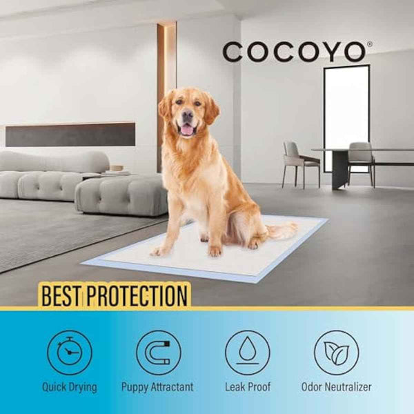 cocooyo 22x22 super absorbent dog training pads 50 count puppy potty pads white