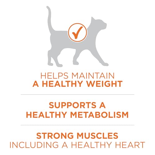 Purina ONE High Protein healthy plus ideal with chicken dry cat food for weight control 7 lb bag
