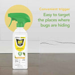 Raid Essentials Multi-Insect Killer Spray, Child and Pet Safe, for Indoor Use, Lemongrass Scent, 12 fl oz