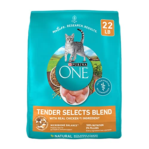 purina one natural dry cat food with real chicken 22 lb bag tender selects blend