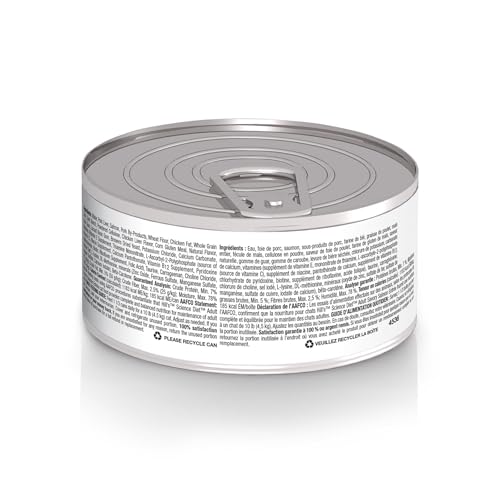 Hills Science Diet Adult 1-6 Premium Nutrition Wet Cat Food Salmon Minced 5.5 oz Can Case of 24