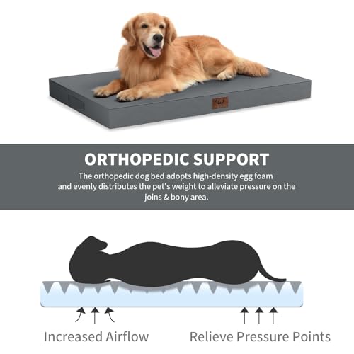 Grey Orthopedic Dog Bed for Large Dogs, Waterproof Oxford Fabric, 36x27 Inch, Egg Crate Foam, Machine Washable