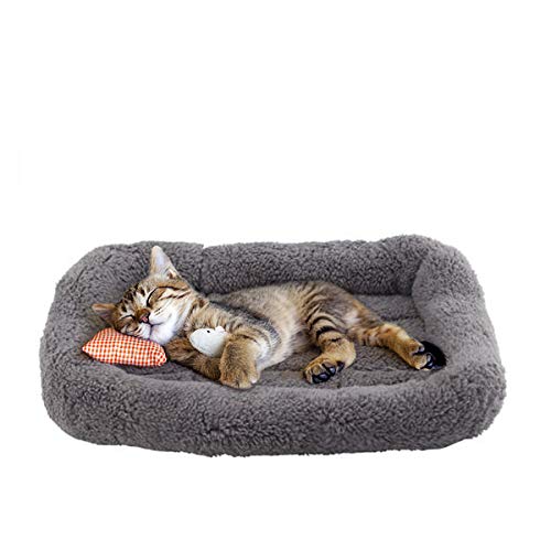 Enjoying 10" x 15" Polycotton Pet Bed with Pillow and Anti Skid Bottom for Cats, Puppies, and Small Dogs