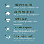Bonsai Starter Kit - Gardening Easter Gift for Women & Men - Bonsai Tree Growing Garden Crafts Hobby Kits for Adults, Unique DIY Hobbies for Plant Lovers - Unusual Christmas Gifts Ideas