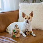 outward hound hide-a-squirrel dog toy small plush puzzle 2-in-1 interactive squeaky