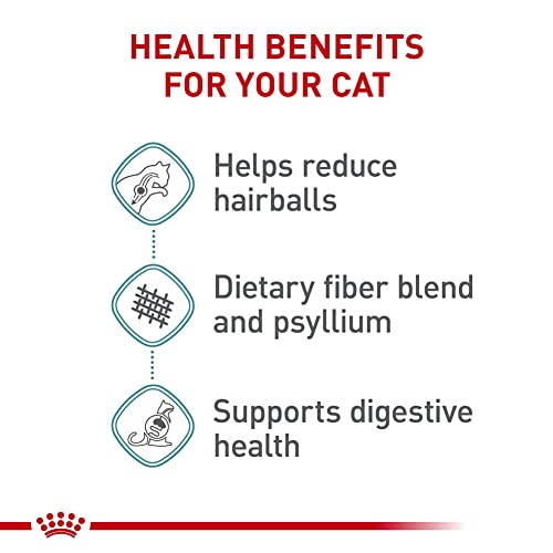 royal canin feline care hairball care adult dry cat food 6 lb bag for cats 1 year and older prone to hairballs