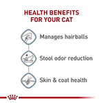 royal-canin-feline-health-nutrition-indoor-long-hair-adult-dry-cat-food-6-lb-bag