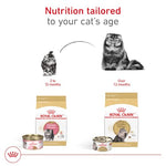 royal-canin-persian-adult-dry-cat-food-formulated-for-purebred-persian-cats
