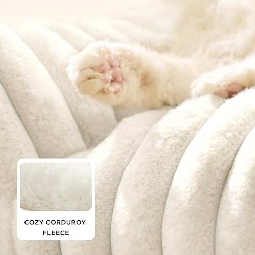 Bedsure ComfyFleece cute cat couch for indoor cats with removable washable cover and supportive pet sofa 24inch cream