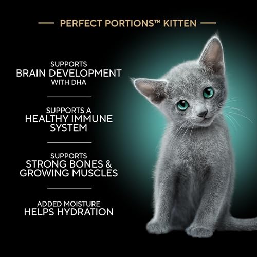 Sheba Perfect Portions kitten wet cat food pate chicken, salmon, and turkey entrees, 2.6 oz twin-pack trays, 24 count, 48 servings