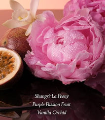 victorias-secret-bombshell-mini-fragrance-mist-purple-passion-fruit-peony-vanilla-orchid-travel-size-2-5-oz-for-women