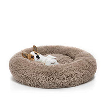 MIXJOY 23'' Brown Orthopedic Dog Bed with Faux Shag Fur, Ultra Soft and Washable Pet Cushion