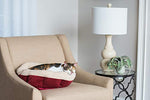 Petmate Aspen Pet Self Warming Round Bed, Barn Red and Cream, 19.5 inches for small pets under 10 pounds
