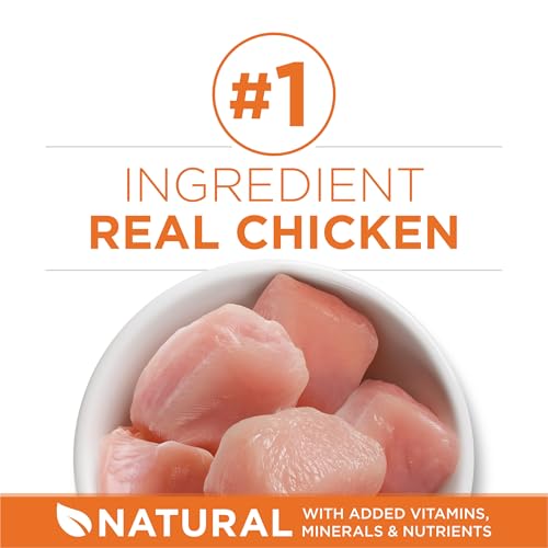 Purina ONE High Protein healthy plus ideal with chicken dry cat food for weight control 7 lb bag