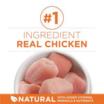 Purina ONE High Protein healthy plus ideal with chicken dry cat food for weight control 7 lb bag
