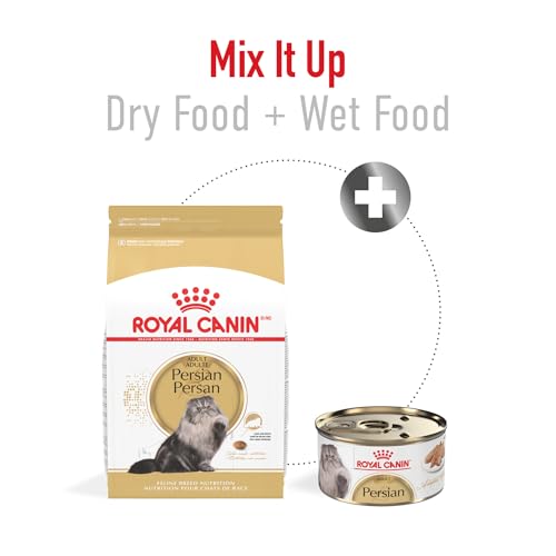 royal-canin-persian-adult-dry-cat-food-formulated-for-purebred-persian-cats