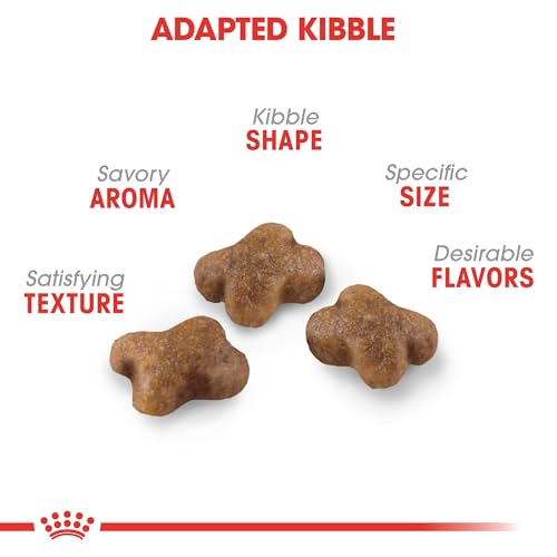 royal-canin-feline-health-nutrition-kitten-dry-cat-food-7-lb-bag