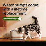PETLIBRO Offical Cat Water Fountain Pump, Easy Replacement for Cat Fountain PLWF115/PLWF105/PLWF005, Wireless Cat Fountain Pump for Pet Water Fountain, Super Quiet Pump for Dog Dispenser