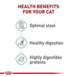 Royal Canin Feline Care Nutrition Digestive Care Adult Dry Cat Food, 6 lb Bag for Sensitive Stomachs and Healthy Digestion