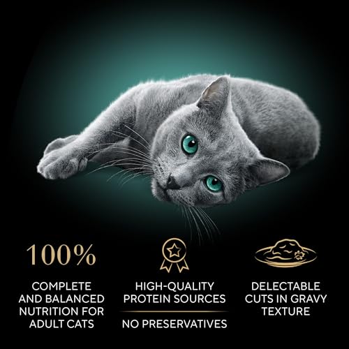 sheba perfect portions wet cat food cuts in gravy roasted chicken entree and turkey entree 12 count 24 servings