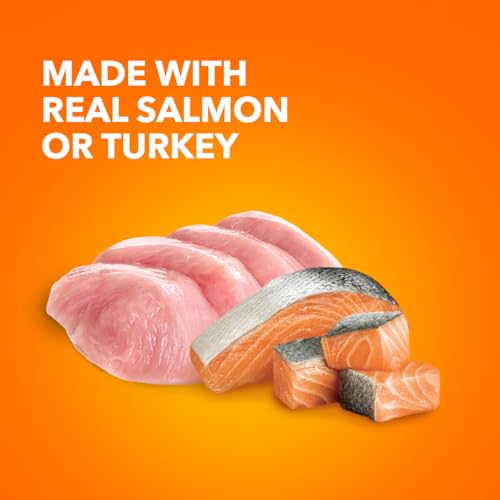 iams perfect portions indoor adult grain free wet cat food pate turkey salmon recipe 2.6 oz twin-pack trays 12 count 24 servings pack of 2